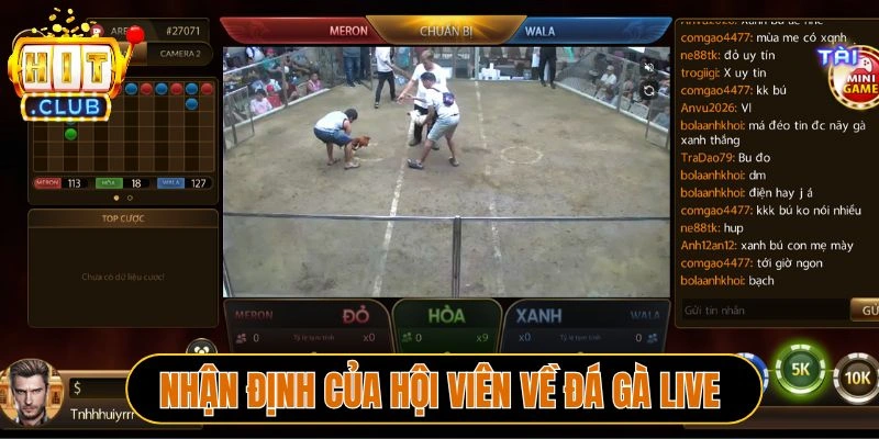Nhận định của hội viên về đá gà live Hitclub